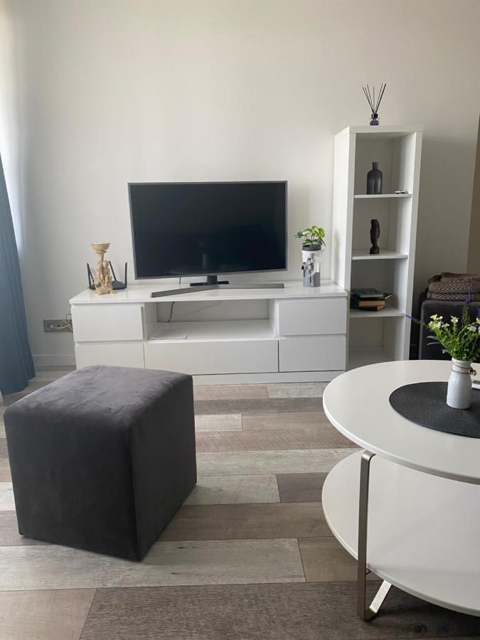 Nemuno Apartamentai Panevėžys 外观 照片